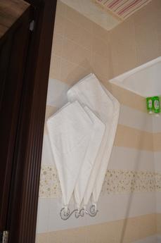 Sunny apartment in the city center, Novosibirsk - apartment by the day