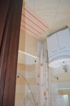Sunny apartment in the city center, Novosibirsk - apartment by the day