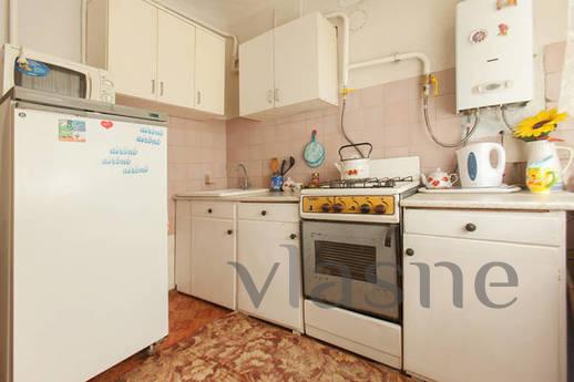 Comfortable apartment in the heart, Kazan - apartment by the day