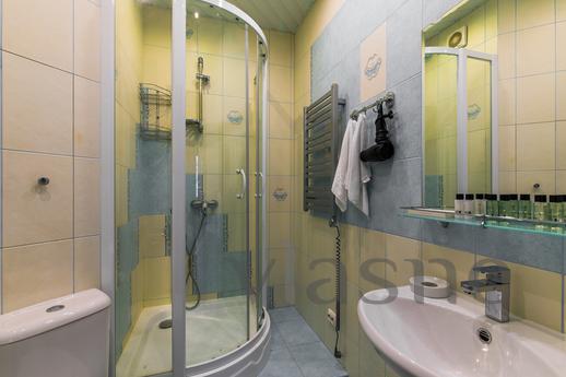 Two-room apartments on Gorkovskaya, Saint Petersburg - apartment by the day