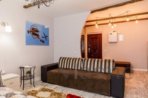 Studio apartment on Gorkovskaya, Saint Petersburg - apartment by the day