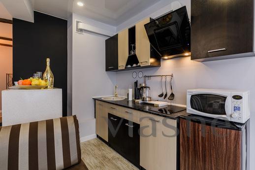 Studio apartment on Gorkovskaya, Saint Petersburg - apartment by the day
