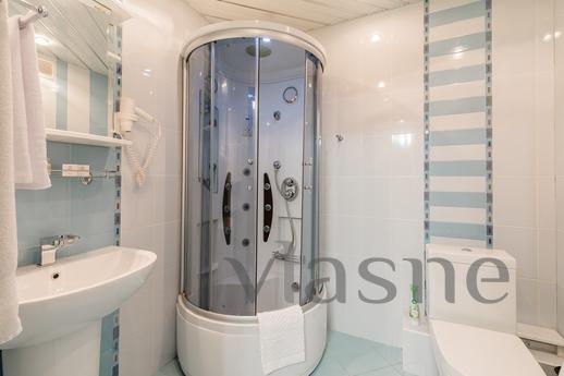 Studio apartment on Gorkovskaya, Saint Petersburg - apartment by the day