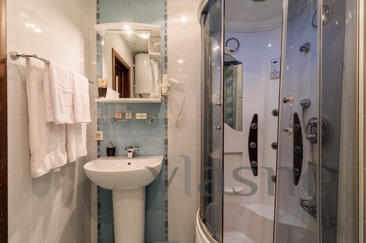 Studio apartment on Gorkovskaya, Saint Petersburg - apartment by the day