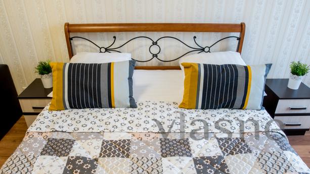 One bedroom apartment in a luxury house, Saint Petersburg - apartment by the day