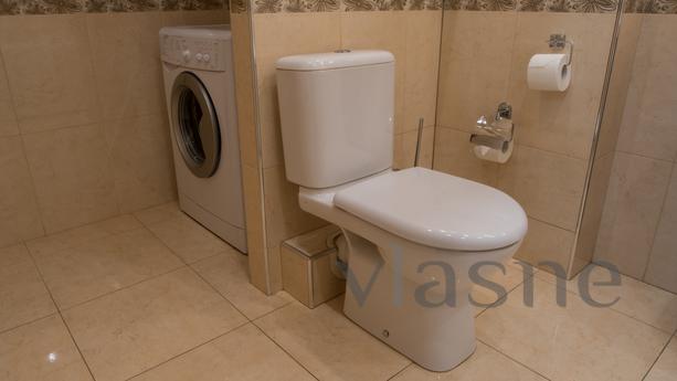 One bedroom apartment in a luxury house, Saint Petersburg - apartment by the day