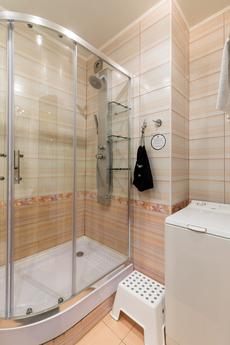 Studio apartment on Gorkovskaya, Saint Petersburg - apartment by the day