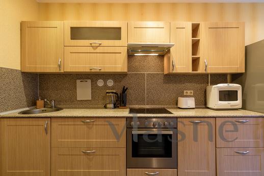 Studio apartment on Gorkovskaya, Saint Petersburg - apartment by the day