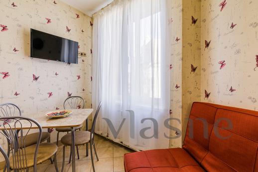 Studio apartment on Gorkovskaya, Saint Petersburg - apartment by the day