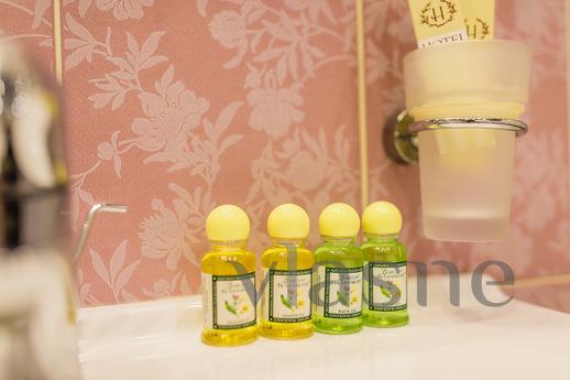 Studio apartment on Gorkovskaya, Saint Petersburg - apartment by the day