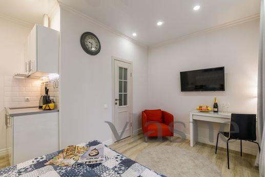 Studio apartment on Gorkovskaya, Saint Petersburg - apartment by the day