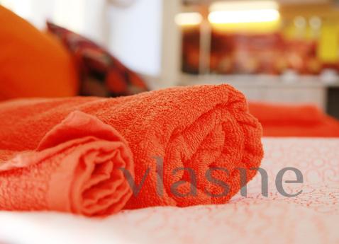 Apartment with all amenities, Moscow - apartment by the day