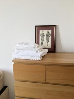 The 1st Neopalimovsky Pere, 14/16, Moscow - apartment by the day