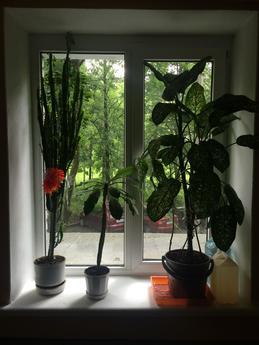 Two Bedroom Apartment, Saint Petersburg - apartment by the day