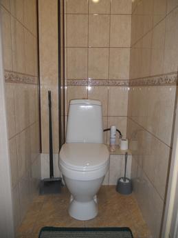 1 bedroom apartment for rent, Tyumen - apartment by the day