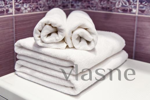 2 bedroom apartment for rent, Irkutsk - apartment by the day
