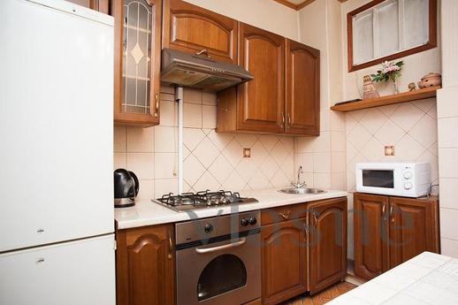 Apartment on the night m. Paveletskaya, Moscow - apartment by the day