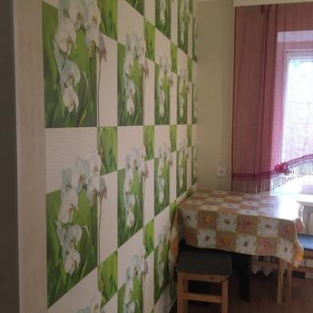 1 bedroom apartment for rent, Казан - апартамент за нощувки