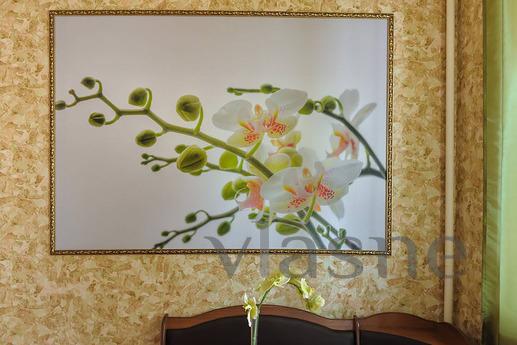 Apartment for rent, Podolsk - apartment by the day