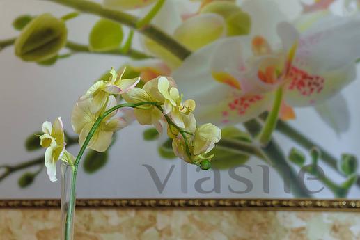 Apartment for rent, Podolsk - apartment by the day