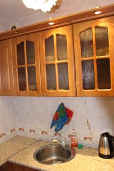 1 bedroom apartment for rent, Irkutsk - apartment by the day