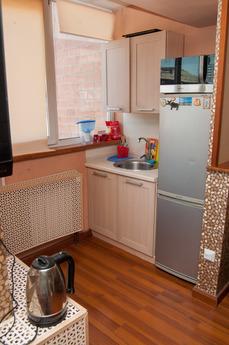 1 bedroom apartment for rent, Irkutsk - apartment by the day