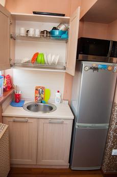 1 bedroom apartment for rent, Irkutsk - apartment by the day
