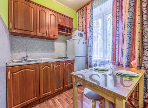 Cozy apartment near the metro, Moscow - apartment by the day