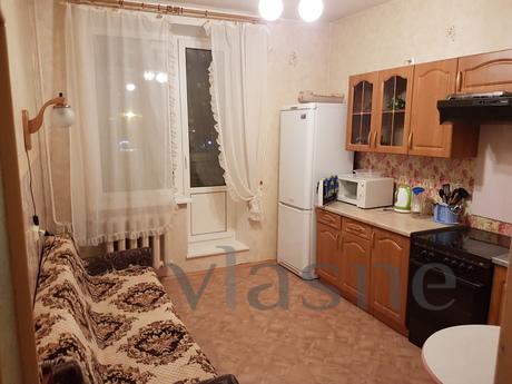 1 bedroom apartment for rent, Saint Petersburg - apartment by the day