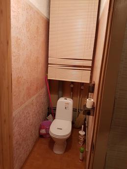 1 bedroom apartment for rent, Saint Petersburg - apartment by the day