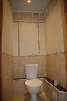 1 bedroom apartment for rent, Tyumen - apartment by the day