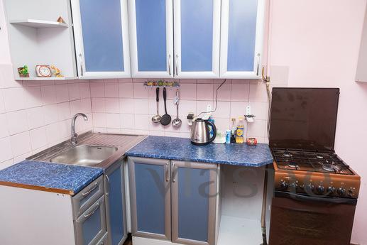 Cozy apartment near the subway Kuzminki, Moscow - apartment by the day
