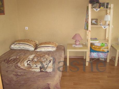 Rent an inexpensive cozy 1-room apartment in Novosibirsk wit