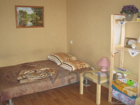 a cozy 1 bedroom apartment, Novosibirsk - apartment by the day