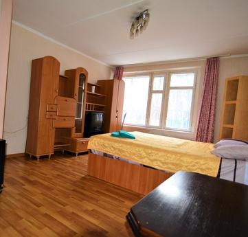 Cozy 1 bedroom apartment, Moscow - apartment by the day