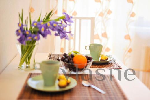 Careful one-bedroom apartment, Yekaterinburg - apartment by the day