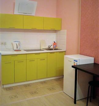 Studio apartment for daily rent, Moscow - apartment by the day