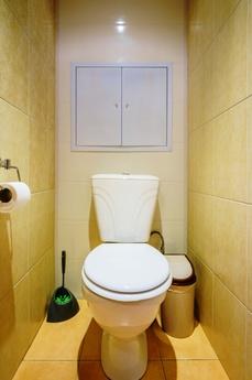 1 bedroom apartment for rent, Chelyabinsk - apartment by the day