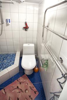 Daily, Saint Petersburg - apartment by the day