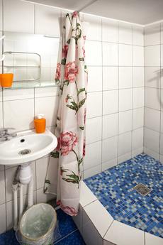 Daily, Saint Petersburg - apartment by the day