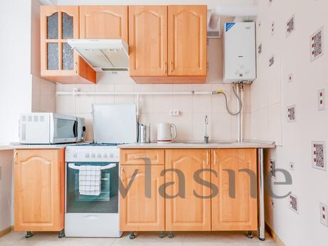 Daily , Saint Petersburg - apartment by the day