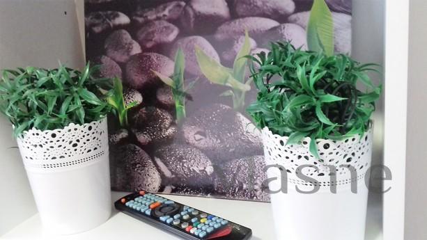 Daily Krasnodar, st. Odessa, 44, Krasnodar - apartment by the day