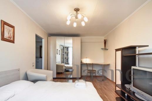 Excellent studio apartment with Euro renovation, within walk