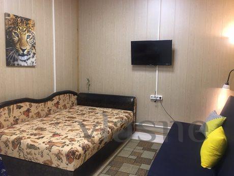 Apart-Studio (4-bed) Petrogradskaya, Saint Petersburg - apartment by the day