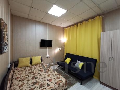 Apart-Studio (4-bed) Petrogradskaya, Saint Petersburg - apartment by the day