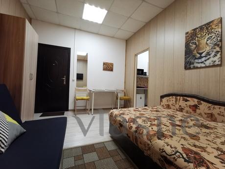 Apart-Studio (4-bed) Petrogradskaya, Saint Petersburg - apartment by the day
