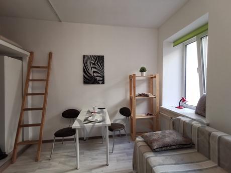 Daily 12 line, 53 Studio 3.12, Saint Petersburg - apartment by the day