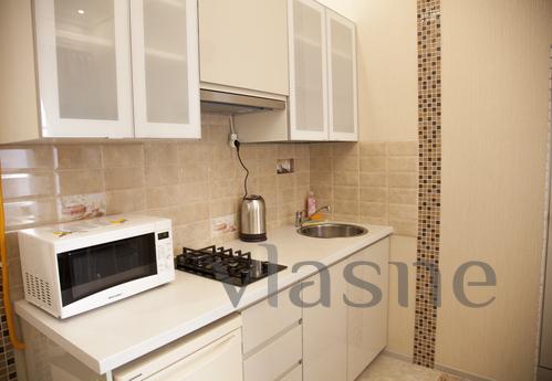 Apartment in the center, Saint Petersburg - apartment by the day