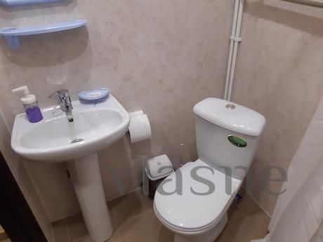 Double studio, Zlatoust - apartment by the day