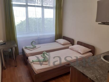 Double studio, Zlatoust - apartment by the day